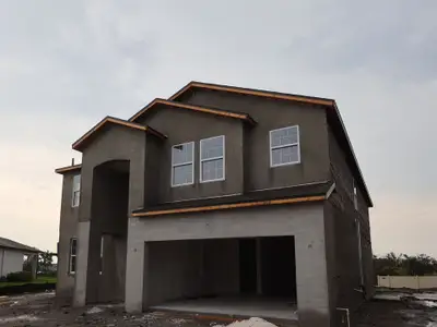 New construction Single-Family house 7883 Painted Sky Place, Land O Lks, Land O' Lakes, FL 34637 plan Sonoma II - image