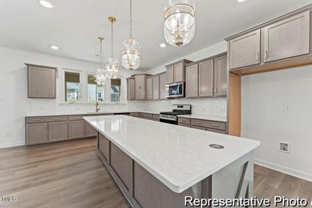 New construction Single-Family house 56 Mable Ct, Unit 20, Lillington, NC 27546 null- photo 2 2