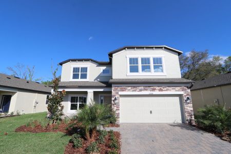 New construction Single-Family house 12008 Hilltop Farms Dr, Dade City, FL 33525 Alenza- photo 120 120