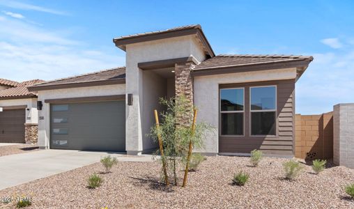 New construction Single-Family house 564 E Aurora Dr, San Tan Valley, AZ 85140 plan Tacoma - image
