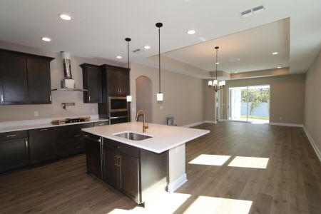 New construction Single-Family house 20339 Oriana Loop, Land O' Lakes, FL 34638 Newport II- photo 111 111