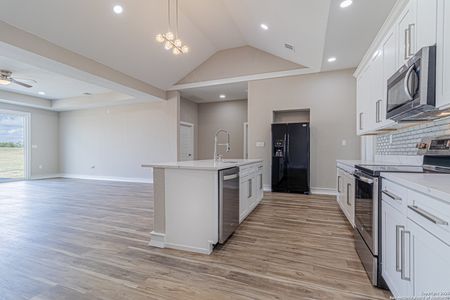 New construction Single-Family house 16923 Rancho Escondido, Atascosa, TX 78002 - image 5