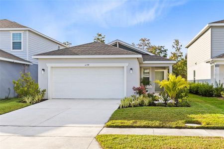 New construction Single-Family house 1174 Grand Hammock Ct, Kissimmee, FL 34746 - image
