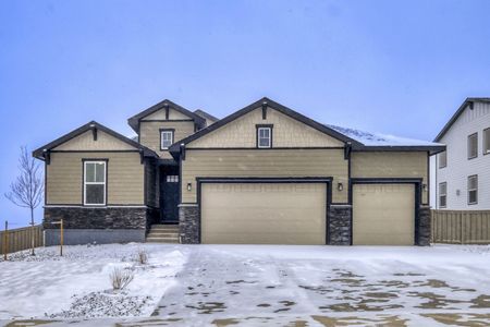 New construction Single-Family house 8349 Jesse Evans Dr, Colorado Springs, CO 80908 plan C411 - image