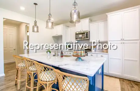 New construction Single-Family house 1003 Field Sparrow Dr, Ravenel, SC 29470 Lenox P- photo 0