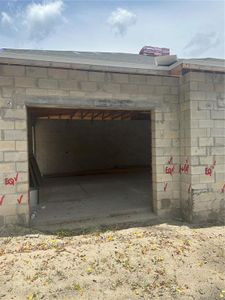 New construction Single-Family house 166 Hammock Preserve Lp, Winter Garden, FL 34787 - image