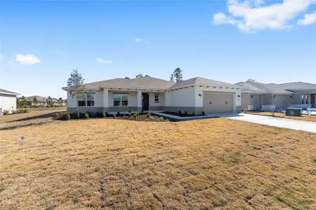 New construction Single-Family house 10020 Sw 106Th Cir, Ocala, FL 34481 plan Aurelia - image 3