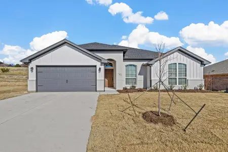 New construction Single-Family house Springtown, TX 76082 null- photo 0
