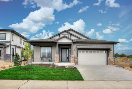 New construction Single-Family house 8412 Cromwell Circle, Windsor, CO 80528 - photo 0