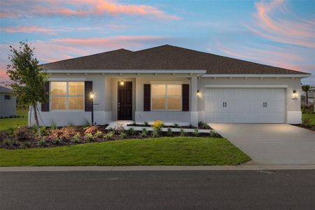 New construction Single-Family house 10693 Sw 102Nd Ln, Ocala, FL 34481 - image