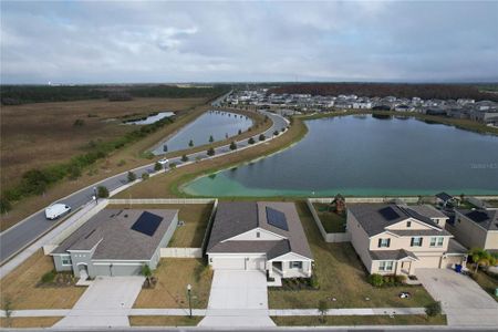 New construction Single-Family house 420 Watusi Way, Saint Cloud, FL 34772 null- photo 8 8