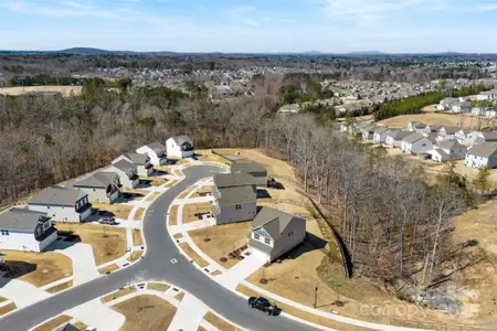 New construction Single-Family house 14030 Turncloak Dr, Charlotte, NC 28278 Westover- photo 11 11