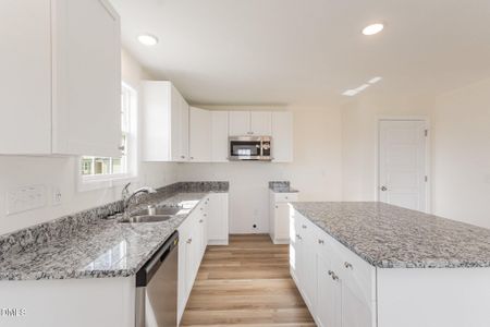 New construction Single-Family house 32 Littlefield Ln, La Grange, NC 28551 - image 6