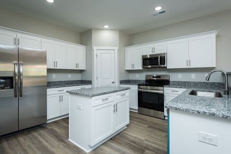 New construction Single-Family house 1125 Scarlett Oak Rd, Spring Hope, NC 27882 plan Brook C - image 4