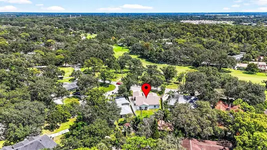 New construction Single-Family house 216 N Glen Arven Ave, Temple Terrace, FL 33617 - image