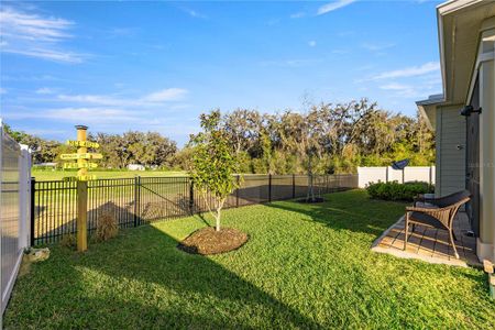 New construction Single-Family house 2022 Nw 44Th Court Rd, Ocala, FL 34482 ALEXIA- photo 7 7