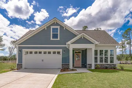New construction Single-Family house 140 Tormore Dr, Sanford, NC 27330 plan Palazzo - image