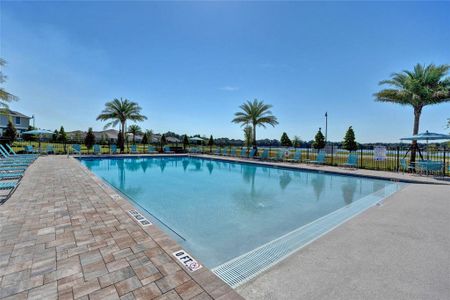 Avian Pointe Townhomes by D.R. Horton in Apopka - photo 6 6