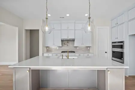 New construction Single-Family house 1264 Sage Pine Cir, Clover, SC 29710 plan Bethpage - image 6