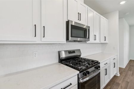 Ardisia Park Traditional 7