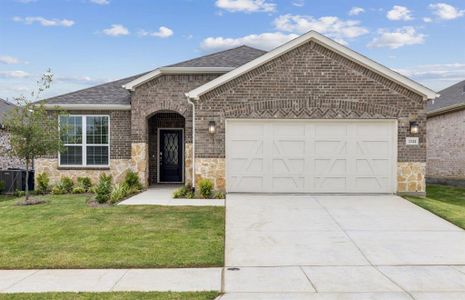 New construction Single-Family house 1121 Firework Drive, Little Elm, TX 76227 Martin Ray- photo 0