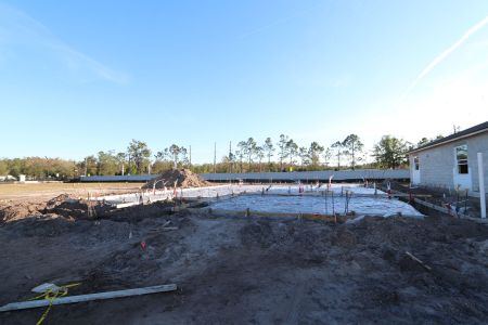 New construction Single-Family house 20027 Oriana Loop, Land O' Lakes, FL 34638 Corina  III- photo 5 5