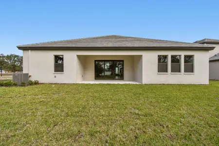 New construction Single-Family house 12505 White Blossom Ct, Parrish, FL 34219 plan Sapphire - image 4
