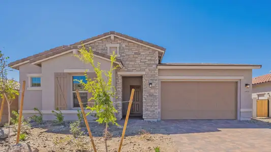 New construction Single-Family house 16819 W Ardmore Rd, Goodyear, AZ 85338 plan Amethyst - image