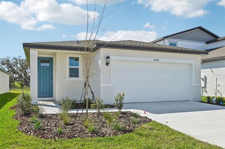 New construction Single-Family house 14049 Crutchfield Ct, Parrish, FL 34219 Everglade- photo 2 2