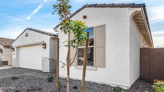 New construction Single-Family house 16755 W Cameron Dr, Surprise, AZ 85388 Sapphire- photo 3 3