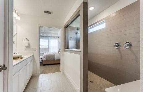 New construction Single-Family house 3924 Lynx Ct, Little Elm, TX 75068 Rybrook- photo 15 15