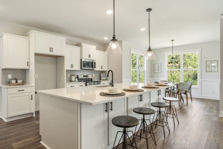 New construction Single-Family house 1067 Lexington Ave Ne, Leland, NC 28451 plan Nicklaus - image 9