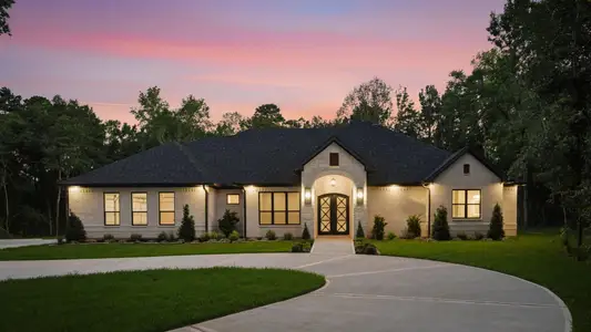 New construction Single-Family house 7111 Lorna Rd, Montgomery, TX 77316 - image