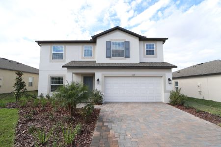 New construction Single-Family house 12219 Hilltop Farms Dr, Dade City, FL 33525 Malibu- photo 154 154