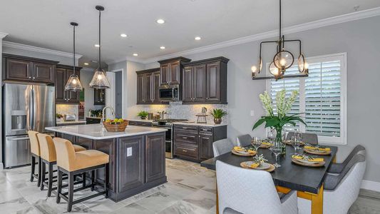 New construction Single-Family house 2013 Coconut Palm Cv, Lakewood Ranch, FL 34212 plan White Star - image 10