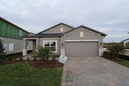 New construction Single-Family house 31229 Denham Ridge Ln, Wesley Chapel, FL 33545 Newport II- photo 90 90