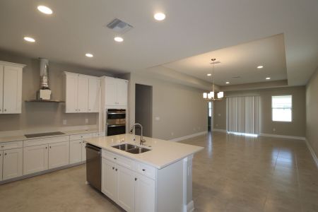 New construction Single-Family house 4763 Beachrose Way, Lakeland, FL 33811 Picasso- photo 15 15