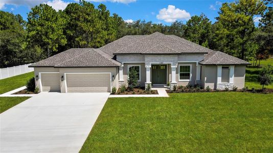 New construction Single-Family house 11081 Frigate Bird Ave, Brooksville, FL 34613 - image