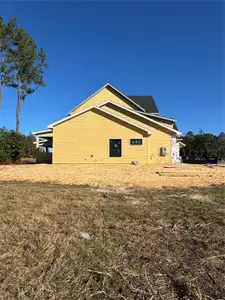 New construction Single-Family house 14828 Sw 9Th Ln, Newberry, FL 32669 - image 3