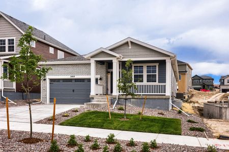 New construction Single-Family house 13409 Finnhorse St, Parker, CO 80134 plan Silverthorne - image