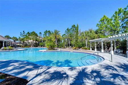 New construction Townhouse house 1291 Colt Creek Pl, Wesley Chapel, FL 33543 null- photo 90 90