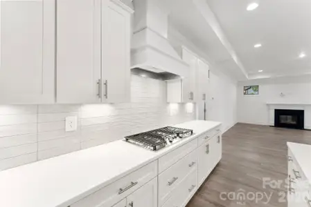 New construction Single-Family house 411 Newstyle Wy, Gastonia, NC 28056 - image 5