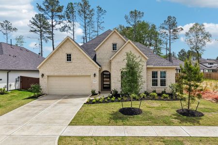 New construction Single-Family house 29730 Shady Glade Ln, Magnolia, TX 77354 plan Plan 5042 Elevation D - image