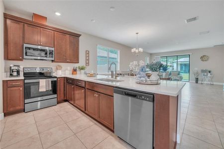 New construction Single-Family house 12591 Vander Wy, New Port Richey, FL 34654 - image 15