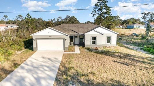 New construction Single-Family house 1609 Pickerel Court, Kissimmee, FL 34759 - photo 0