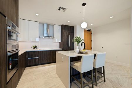 New construction Condo/Apt house 777 3Rd Ave N, Unit 901, Saint Petersburg, FL 33701 Amber- photo 6 6