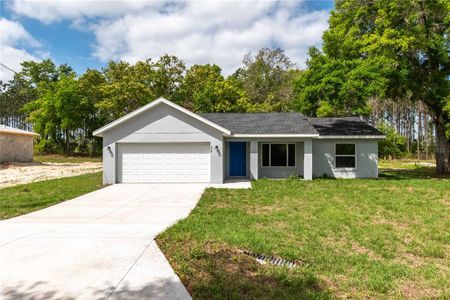 New construction Single-Family house 234 Malauka Loop, Ocklawaha, FL 32179 - photo 0