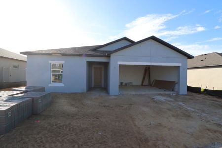 New construction Single-Family house 12263 Hilltop Farms Dr, Dade City, FL 33525 Sentinel- photo 76 76