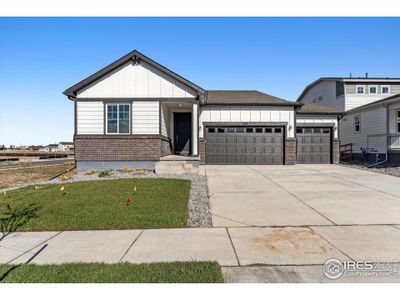 New construction Single-Family house 888 Hummocky Way, Windsor, CO 80550 Telluride- photo 0