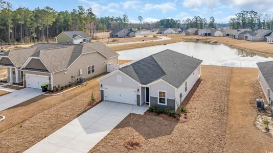New construction Single-Family house 287 Palmetto Sand Loop Lot 59, Conway, SC 29527 - image